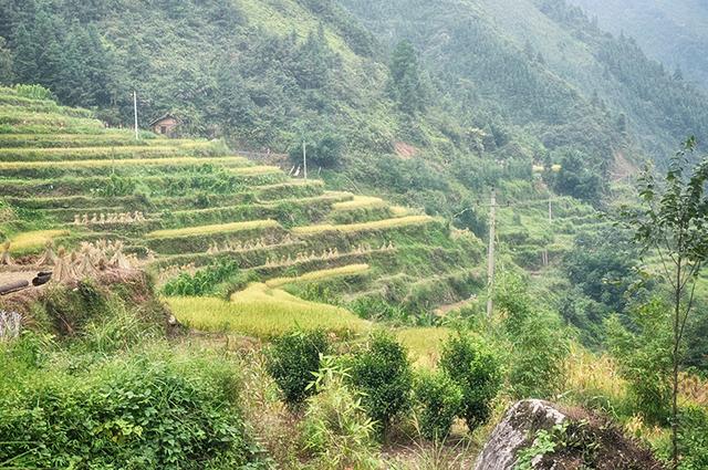 韶关丹霞梯田图片,韶关旅游梯田攻略图片