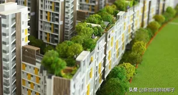 新加坡政府宣布多个新政,新加坡的新政策