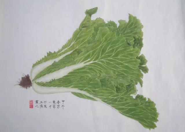 画白菜技法,3d白菜画