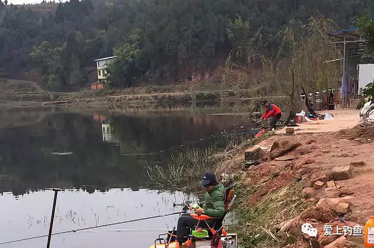 继光水库哪个位置好钓草鱼,继光水库野钓视频