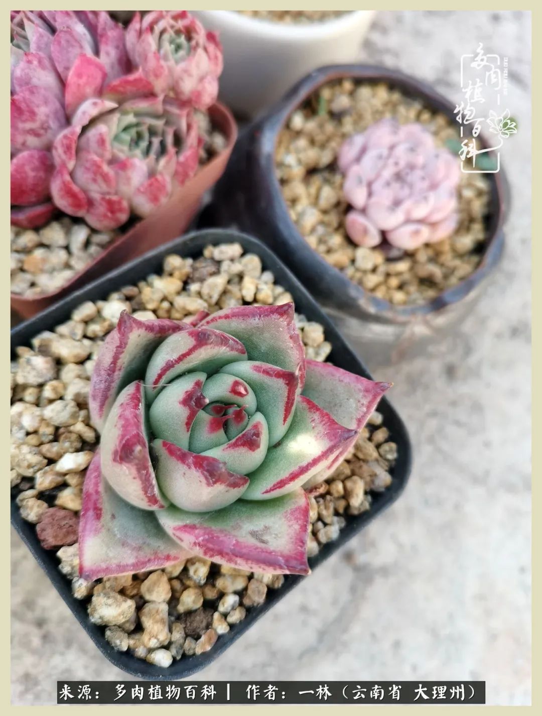 星光不问赶路人文案,时光不负有心人星光不负赶路人