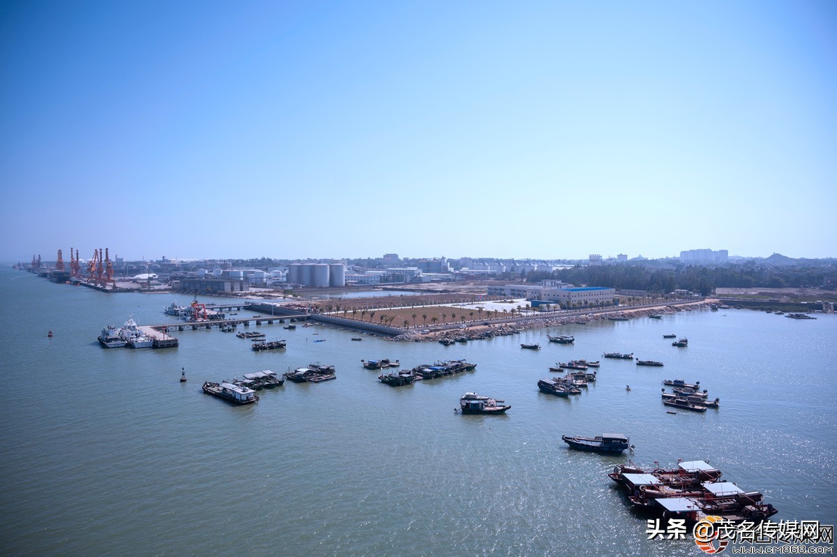 电白在崛起！——2021网络媒体看滨海（电白）采风活动