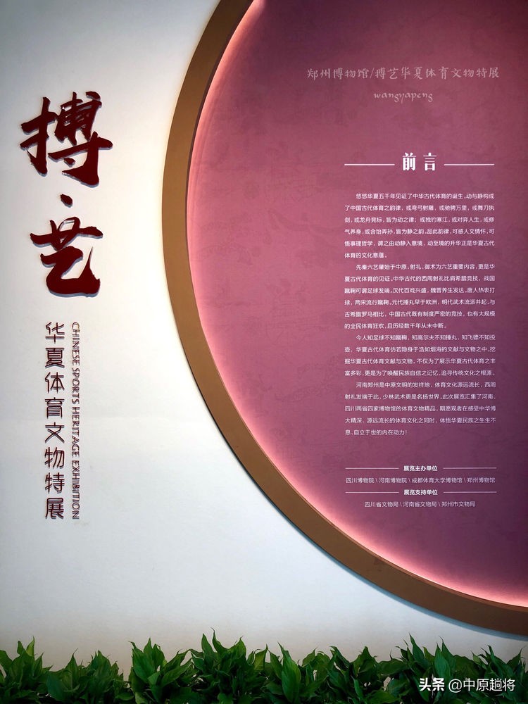 古代的体育运动你知道多少？郑州博物馆看华夏体育*物文**特展