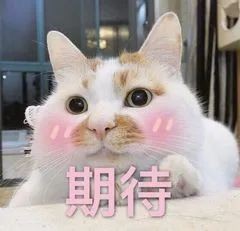 原来这才是眼霜的正确打开方式,眼霜真的颠覆了我对眼霜的看法