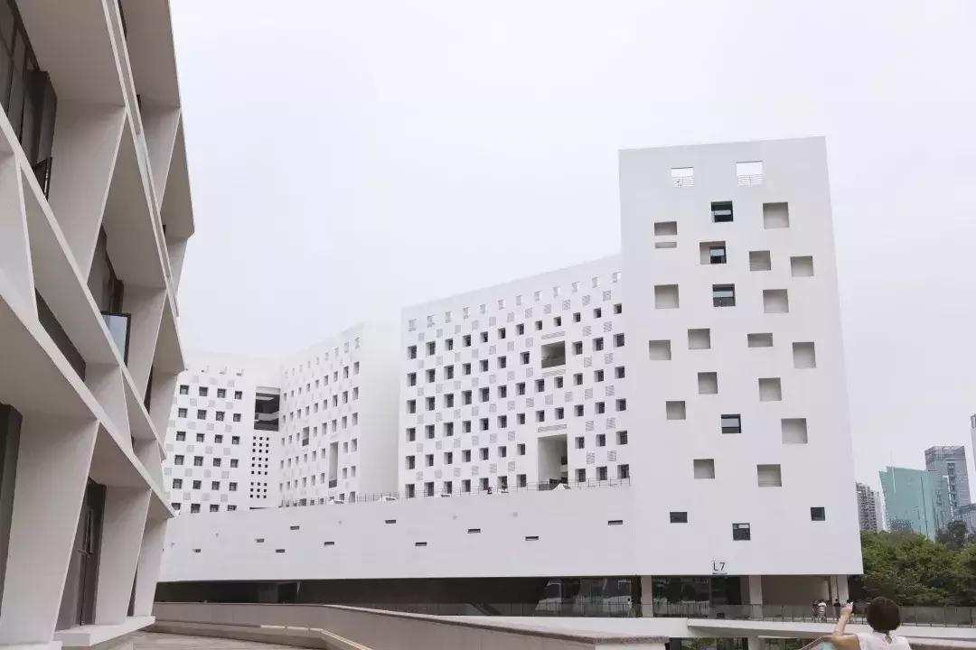 深圳大学游玩攻略一日游,深圳大学打卡攻略