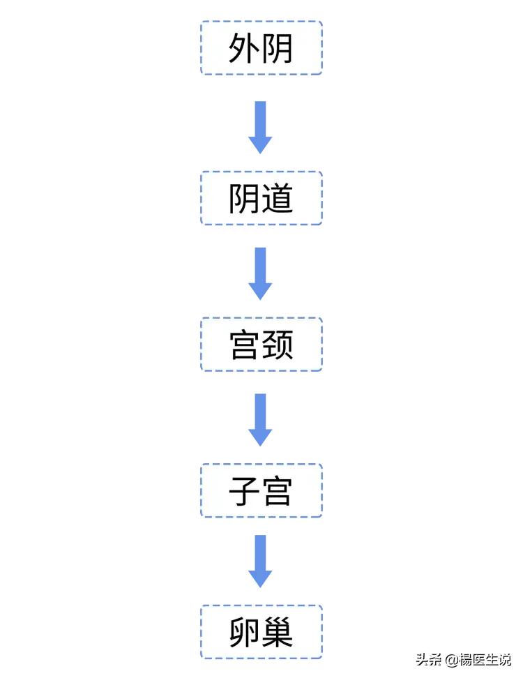 去医院看脸红挂什么科,医院里这些令人面红耳赤的检查