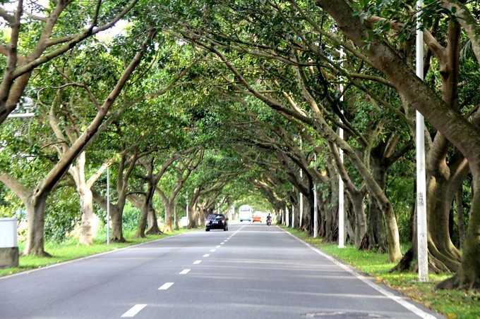 带娃游三亚之旅,带着孩子去旅行之海南三亚