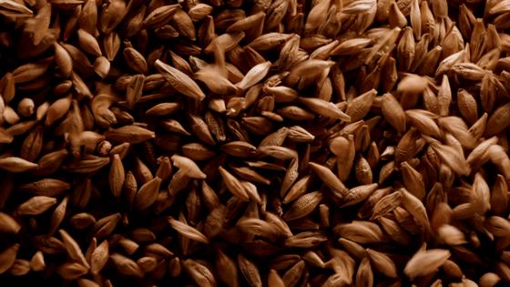 舍得酒酿造工艺流程,世界上最厉害的酿酒法