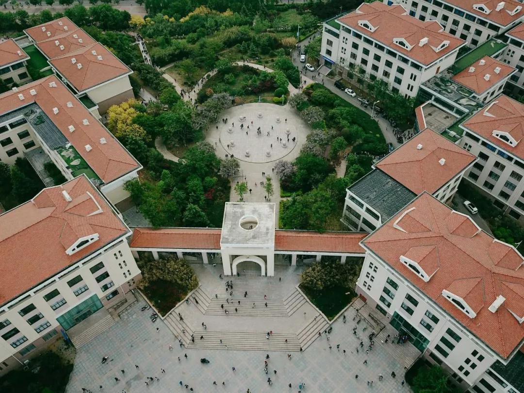 均温20℃的海滨老城，紫色泡桐花美得像国外，现在去性价比超高
