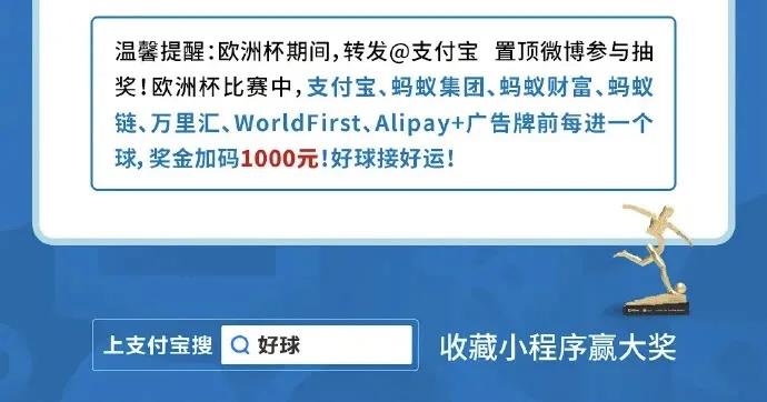 欧洲杯五家中国企业,中国企业霸屏欧洲杯