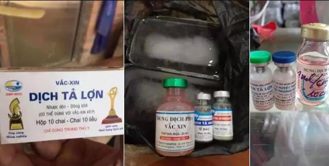 “非瘟疫苗”假货成灾，养猪人深受其害，已有猪场被清场