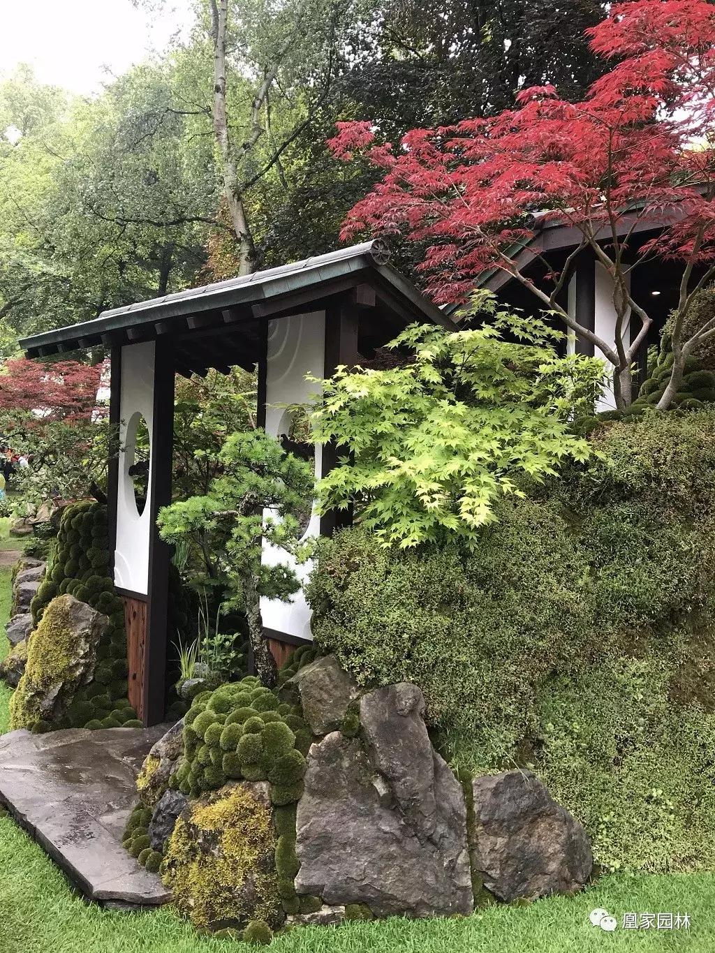 英国切尔西花展鸢尾花园,英国伦敦切尔西花卉展