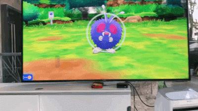 用精灵球捕捉宝可梦游戏,用宝可梦球抓人类