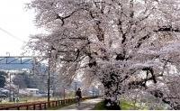 带上佳能eos90d去邂逅浪漫北海道,邂逅北海道的大雪