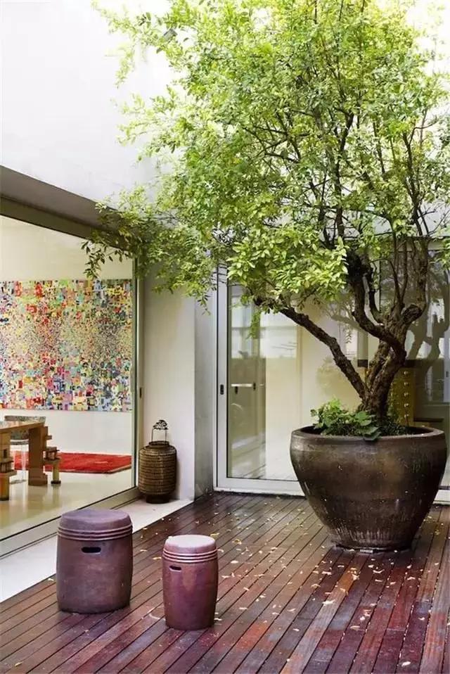 有个院子让生活过成诗,租个院子过田园生活