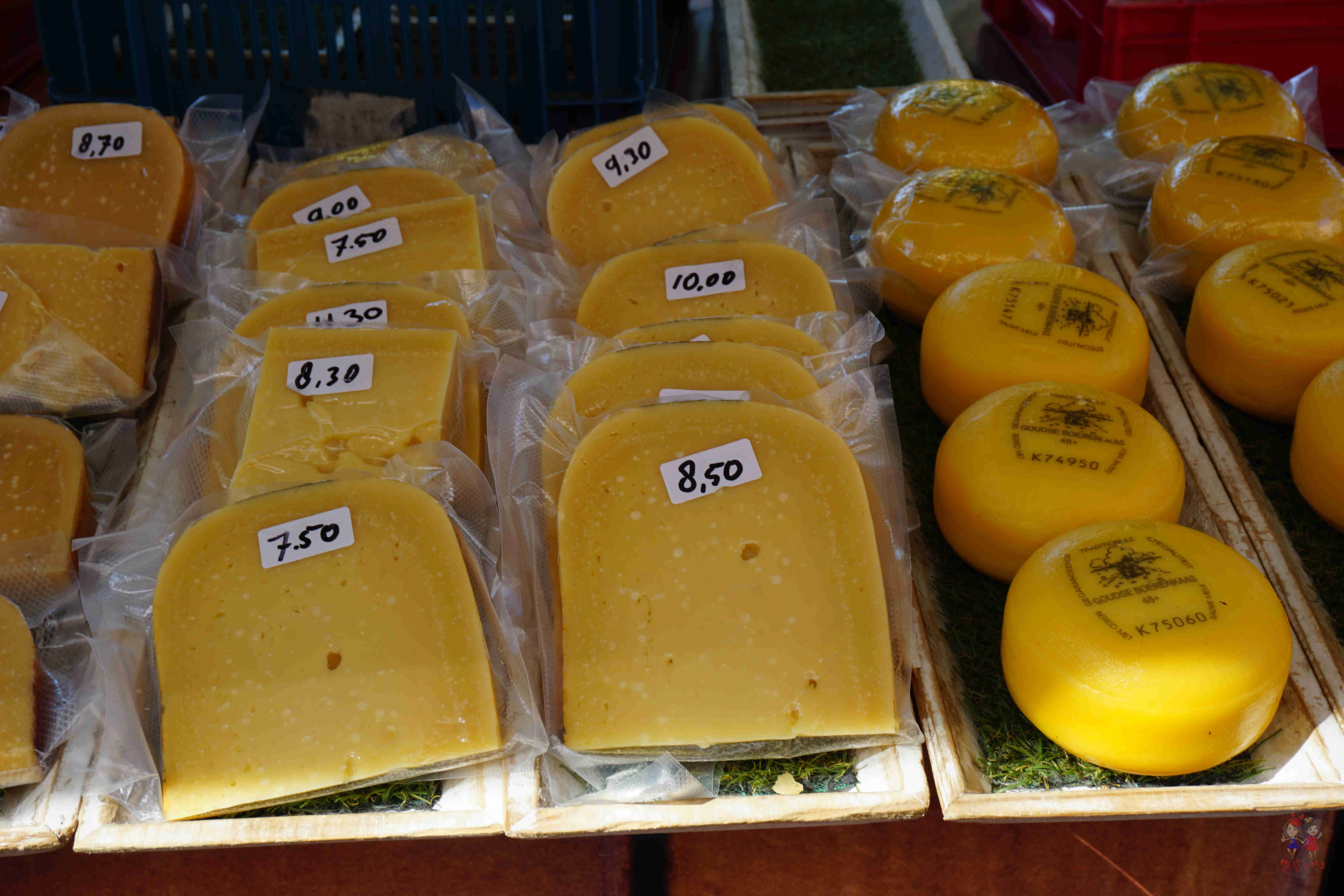 阿姆斯特丹暴走一日游,暴走阿姆斯特丹