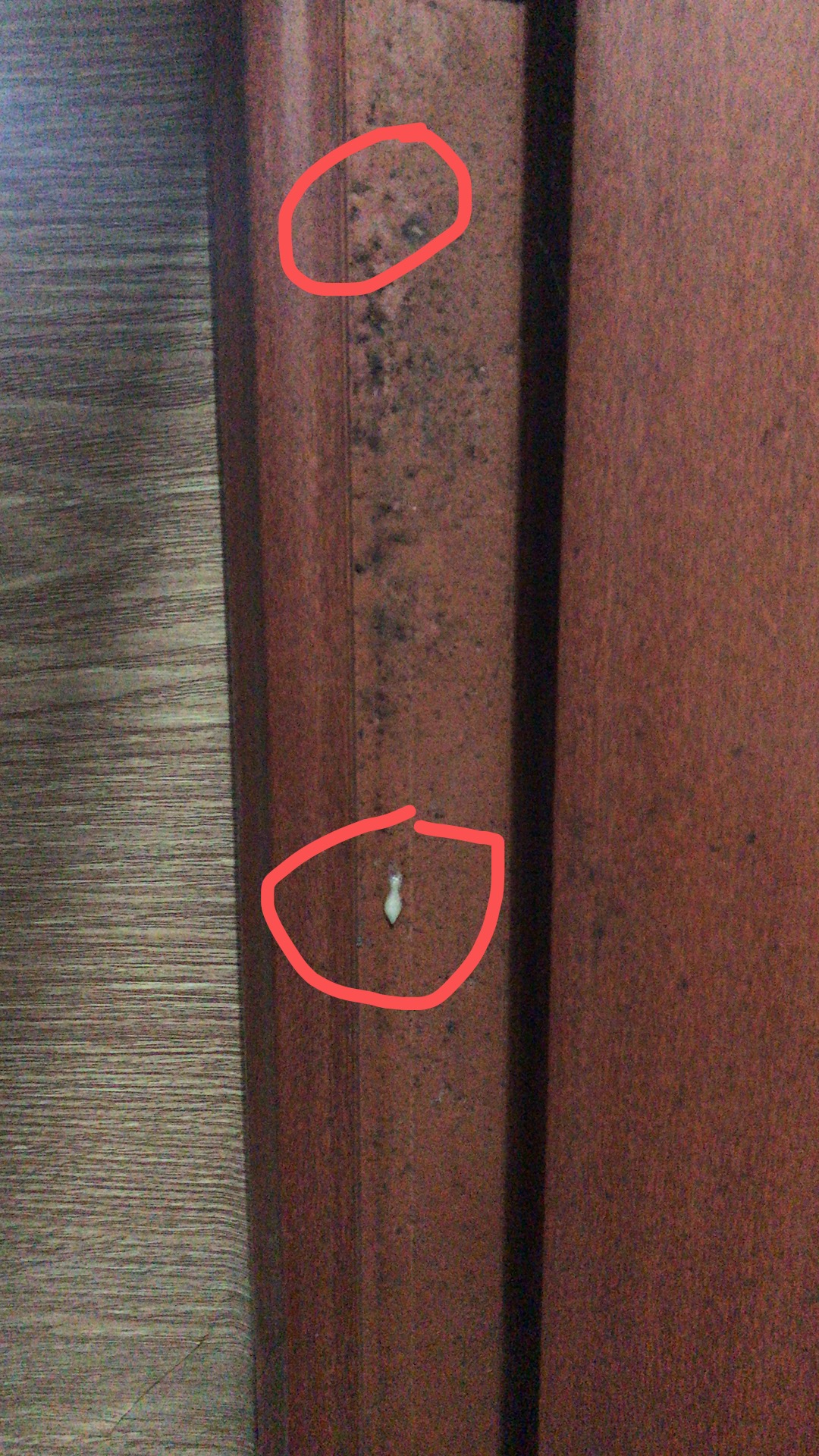 比较彻底地消灭家里的蟑螂,家里很多蟑螂怎么把它消灭掉