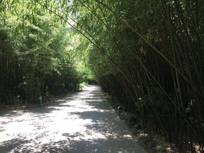 三门峡市黄河大坝旅游景区,河南省三门峡市旅游景点