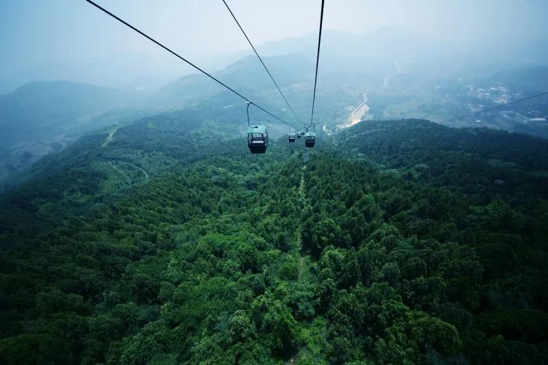 抱犊崮风景区高考门票免费,抱犊崮门票半价政策
