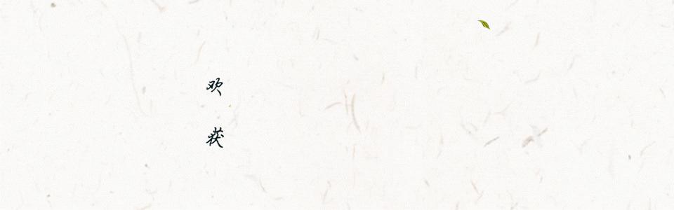 2021年十大名茶排名,2021年十大名茶