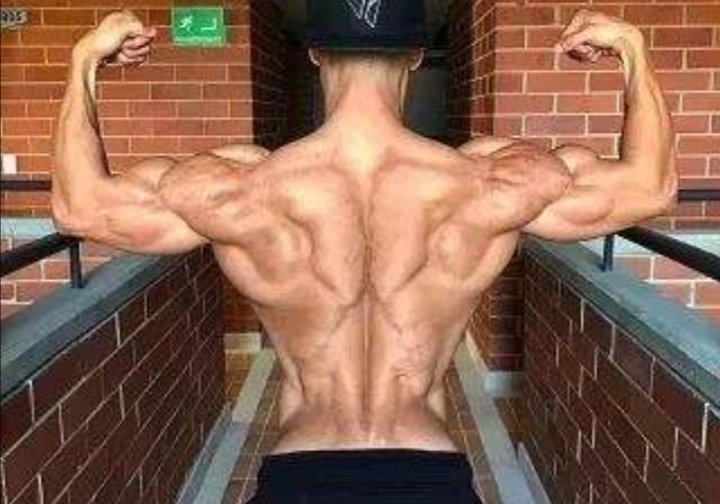 练背必须要练俯身划船么,下背划船练背正确姿势