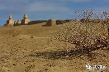 西夏王陵图片及简介,西夏王陵的历史文化