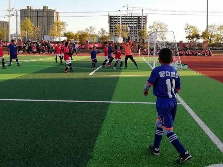 2002年营口市西市区小学比赛,营口2024年校园足球比赛