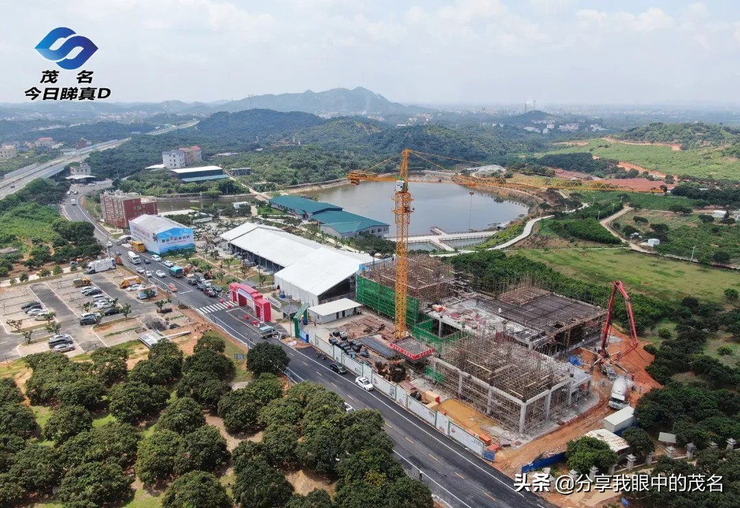 茂名荔枝大会,茂名市520荔枝产业大会