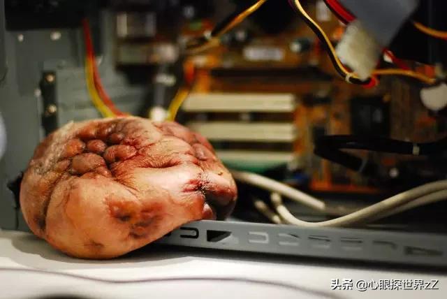 日本妹子设计的*体器人官**电器，有点重口味了吧…