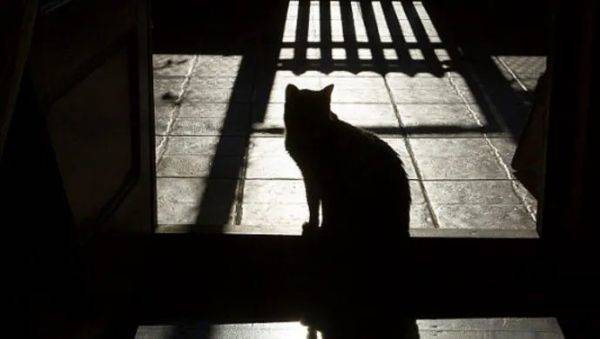 丧心病狂！5岁男孩在澳大利亚沙滩被群奸！凶徒竟然是一群少年