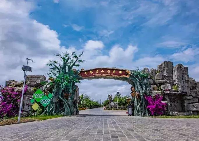 腾冲度假旅游攻略,腾冲春节旅游温泉
