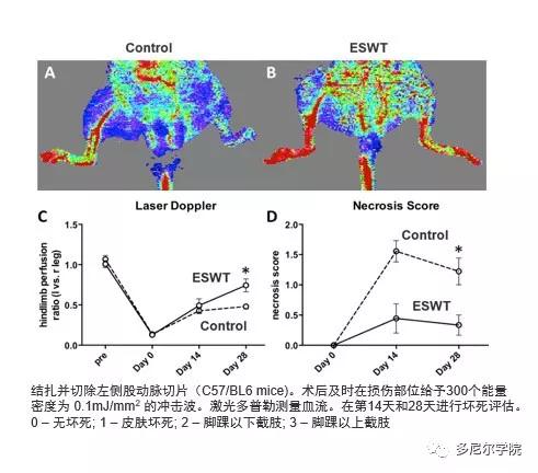 神话战斗力最强的生物,冲击波的生物学效应