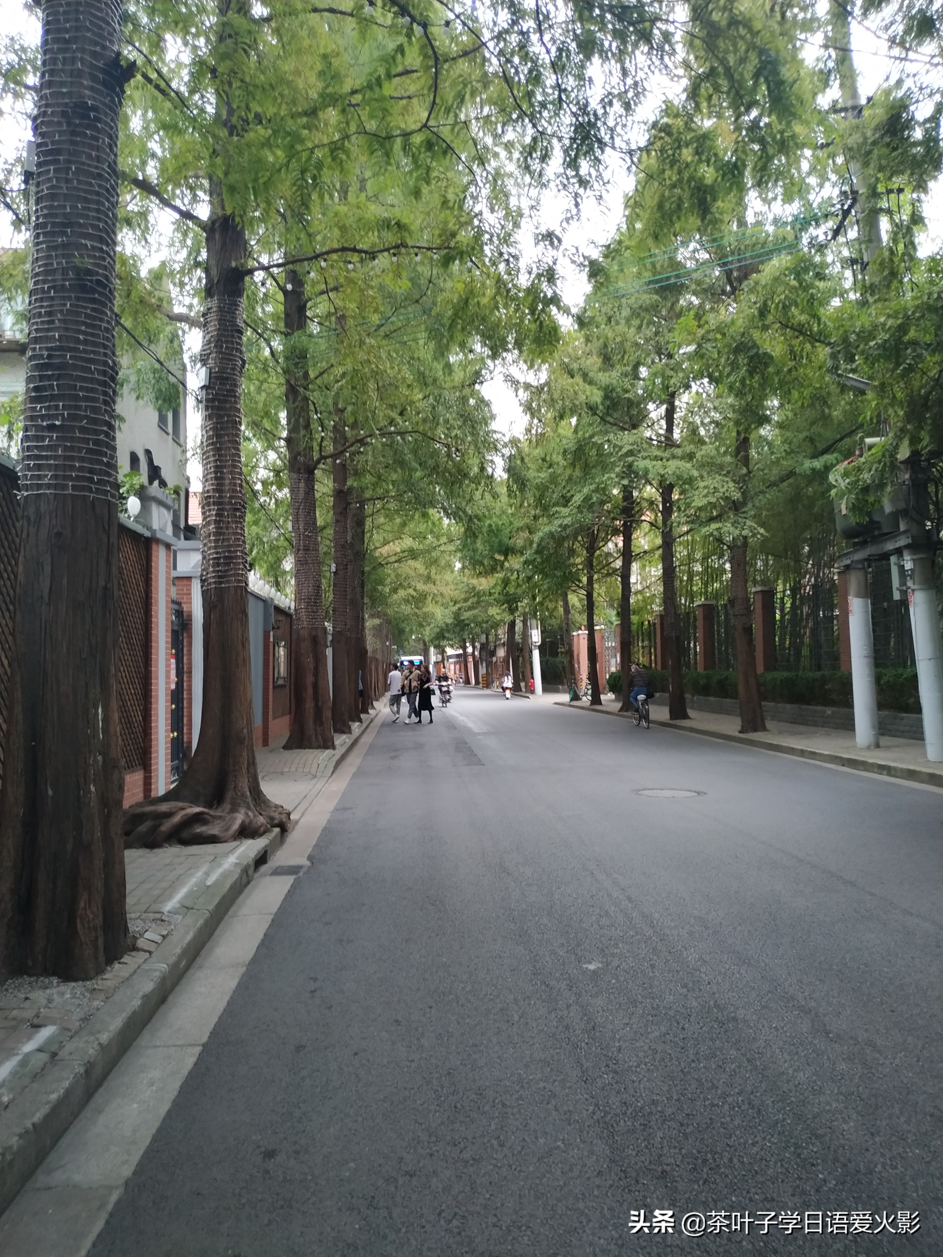 上海甜爱路，打卡不要错过哦，还有鲁迅公园