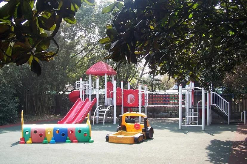 江浙沪最好的双语幼儿园,2020优质幼儿园排行榜