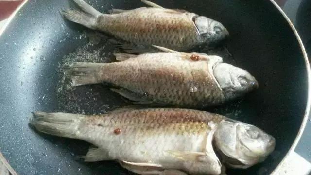 炖鱼鱼汤不白怎么回事,炖鱼汤不白