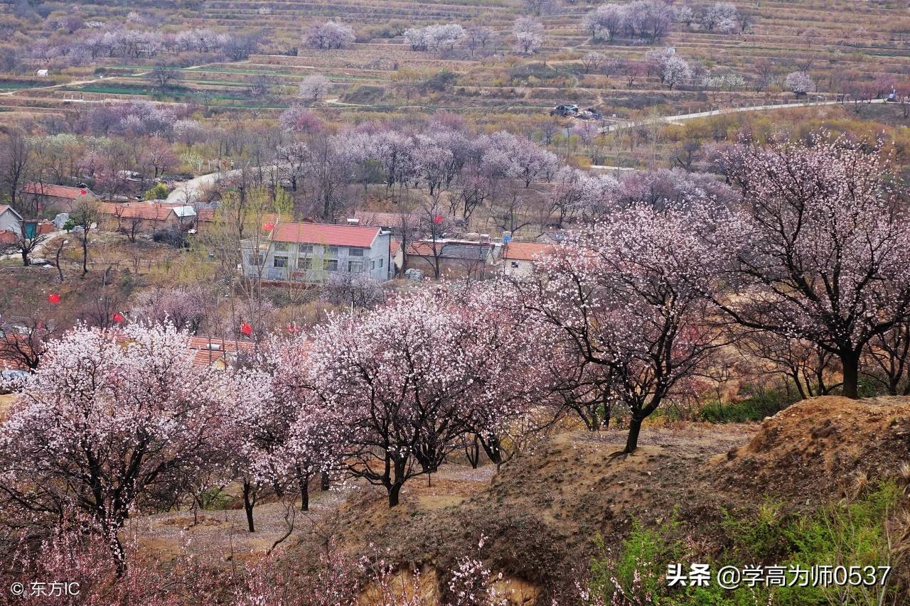 苏教版一年级语文第一单元知识,苏教版一年级下第一单元测试答案