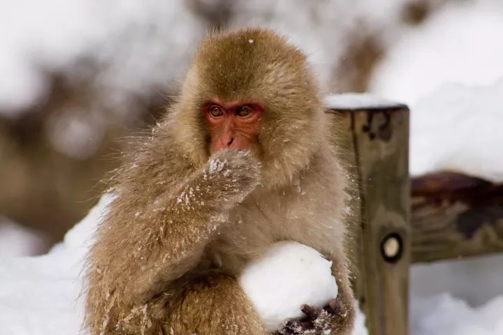 冬天去哪儿玩比较暖和,7-12月适合去哪儿玩儿