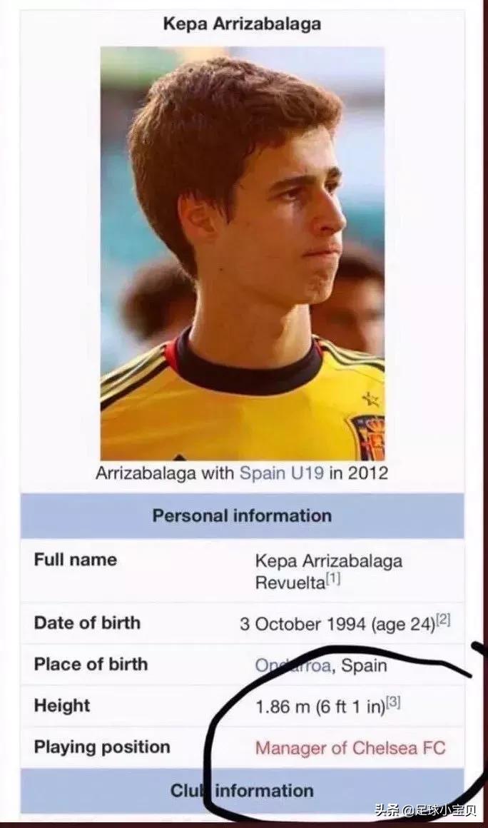 英超各队主教练哈兰德,英超各队主帅