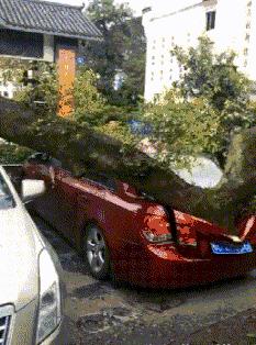 捡到了u盘里面会有什么,捡到一个u盘还好没有用