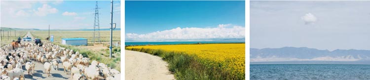 锦江之星亚洲第一,锦江之星缅北店