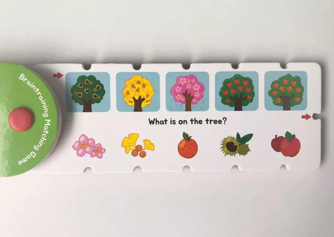 绳子幼儿创意课程,绳子书儿童