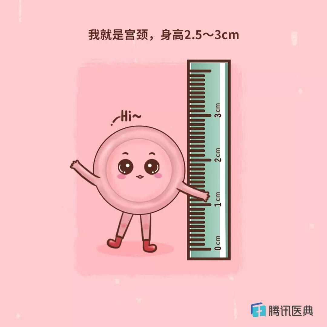 没错，这个所谓“妇科病”，应该改一下名字了