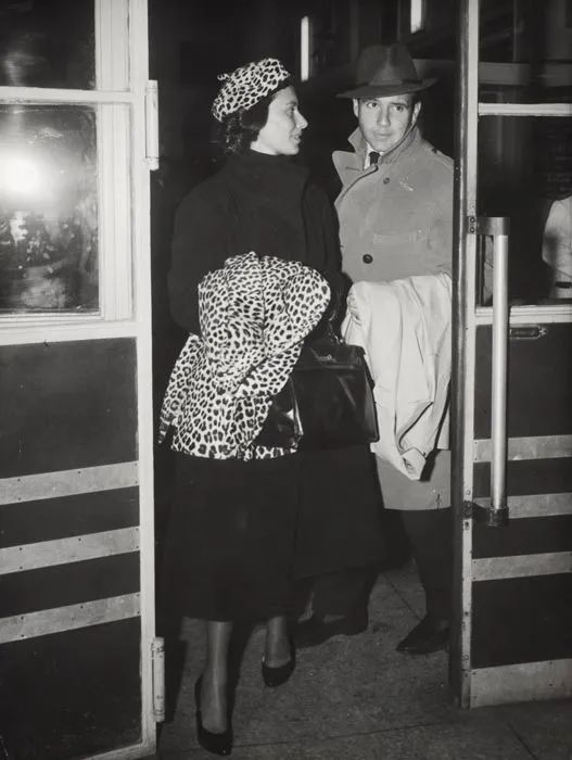 动物珠宝,精美动物珠宝