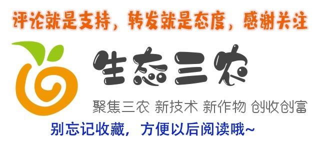 武汉艾草手工活靠谱吗,手工加工艾叶是否骗局