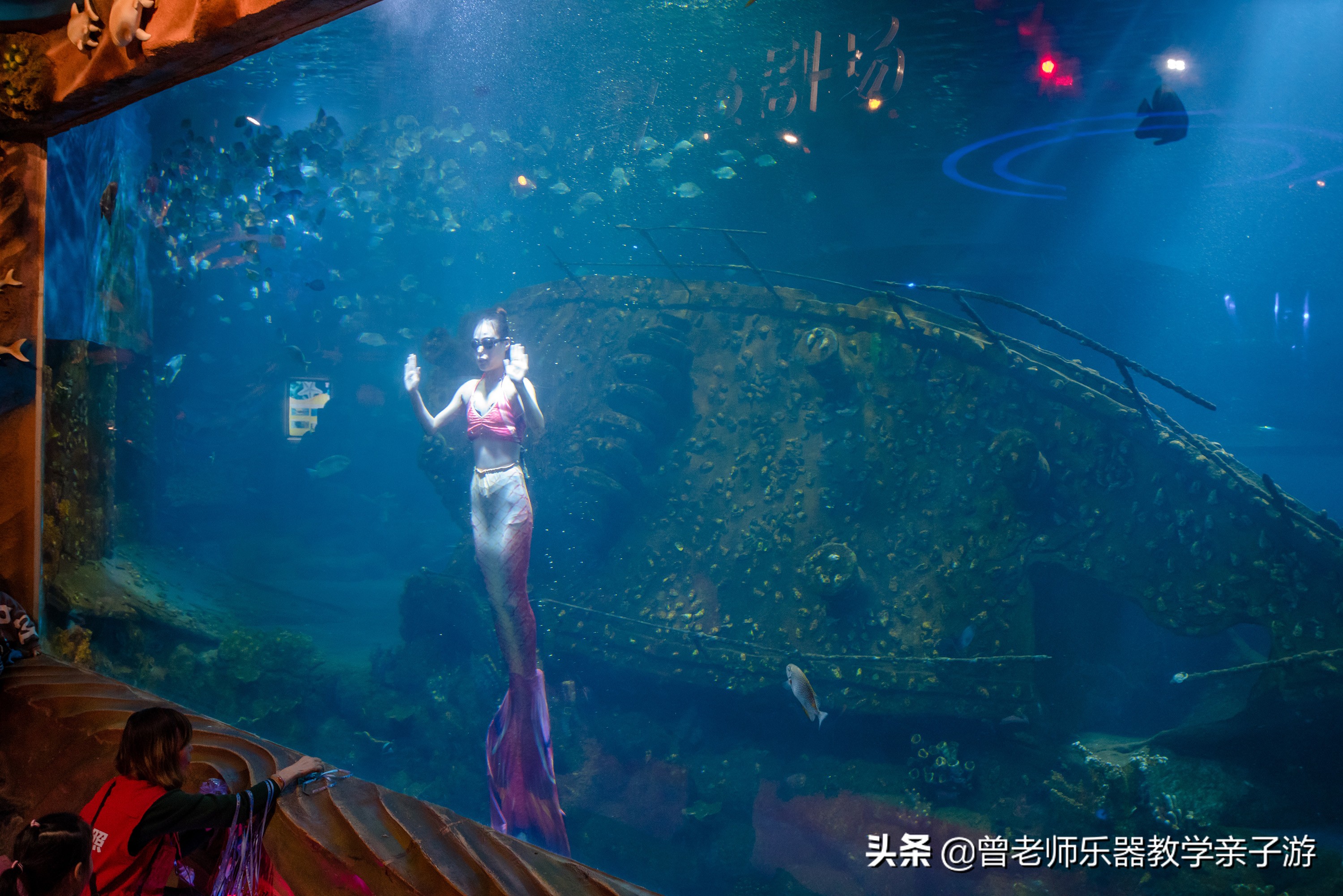 西安太奥海洋馆,西安极地海洋世界海豚表演