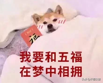 警惕！当你在疯狂集福时，有人已盯上了你的钱包！