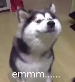 iphone怎么使用双卡双待,iphone实现双卡双待的app