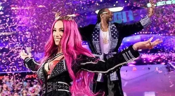 wwe打斯瓦辛格,施瓦辛格客串wwe摔角狂热完整版