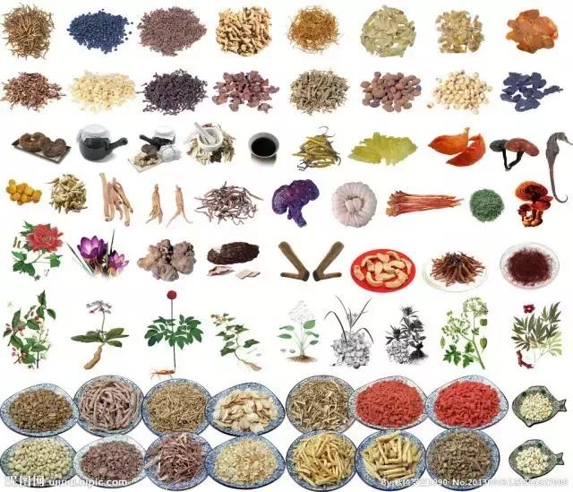 宠物医院不提供用药清单怎么办,宠物常见的皮肤病药