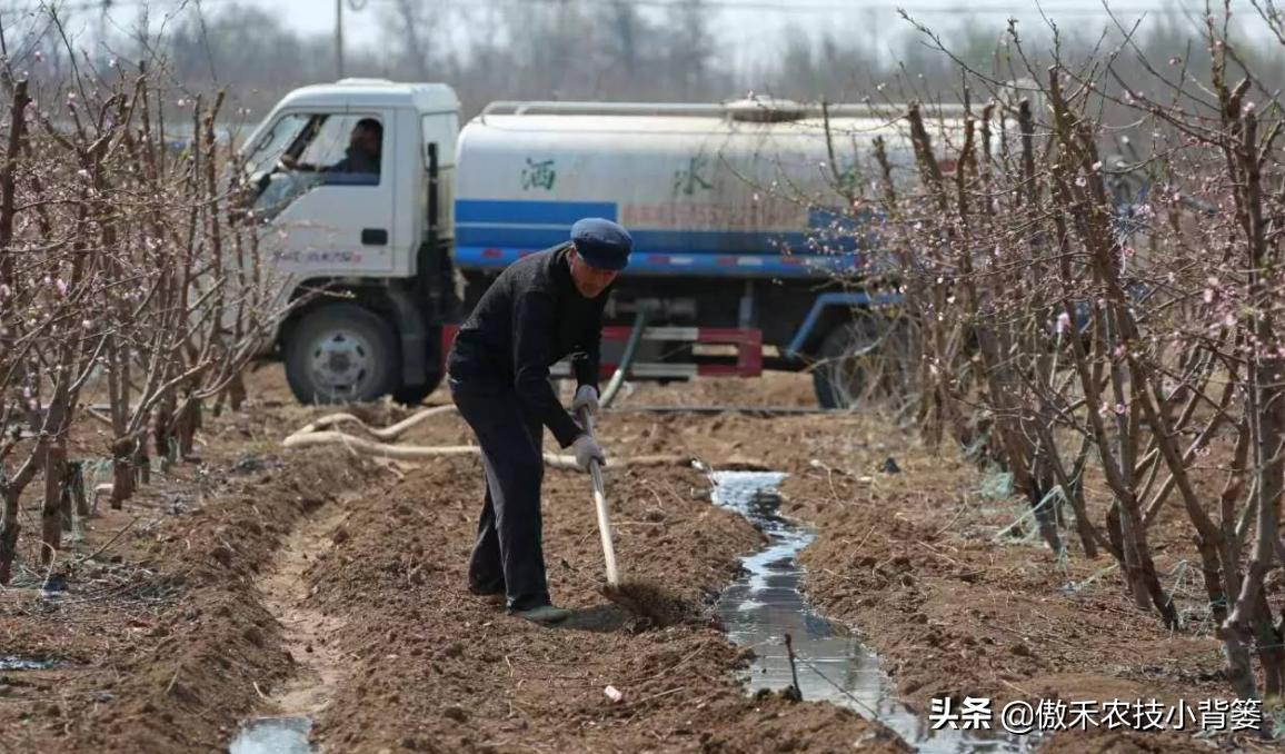 如何区分尿素氯化铵和硫酸铵,如何区分硝酸铵硫酸铵和尿素